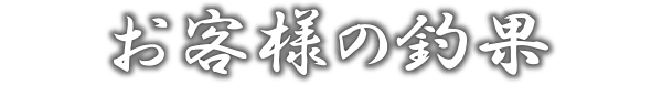 お客様の釣果